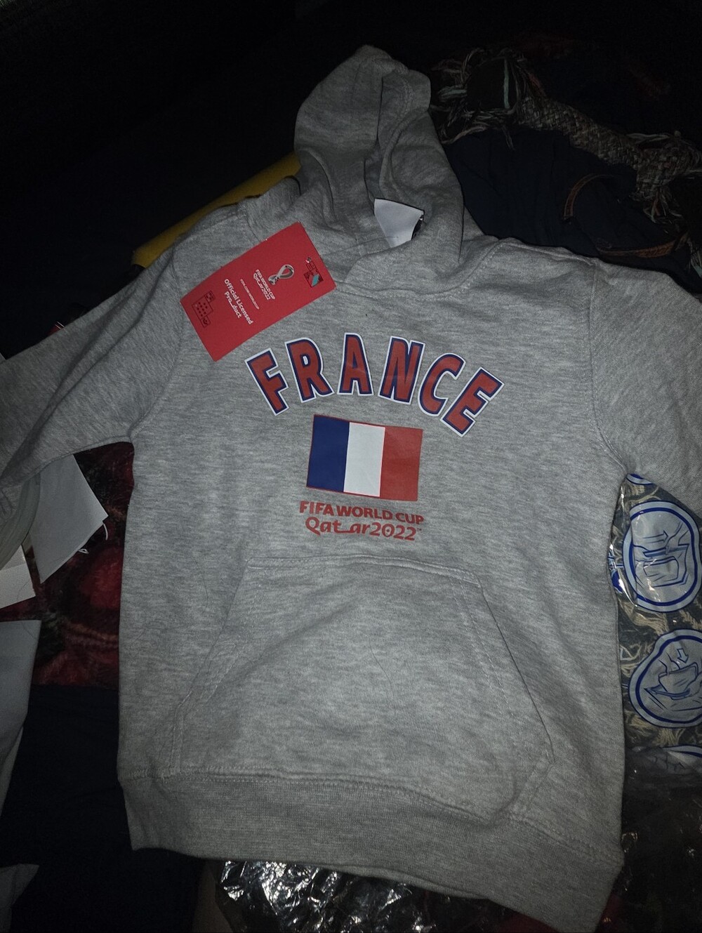 MEDIUM 5/6 YOUTH France FIFA World Cup 2022 Gray Hoodie
